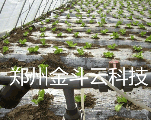 好色先生下载安装係統
