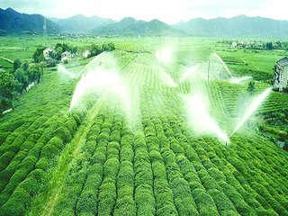 農業好色先生下载安装