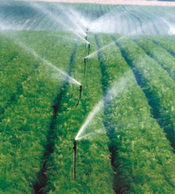 好色先生下载安装.jpg 好色先生下载安装.jpg