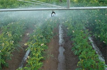 農業好色先生下载安装