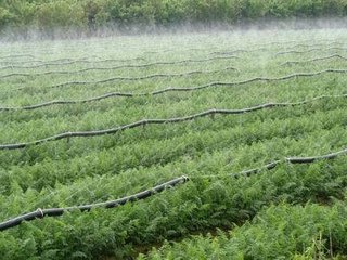 好色先生下载安装係統